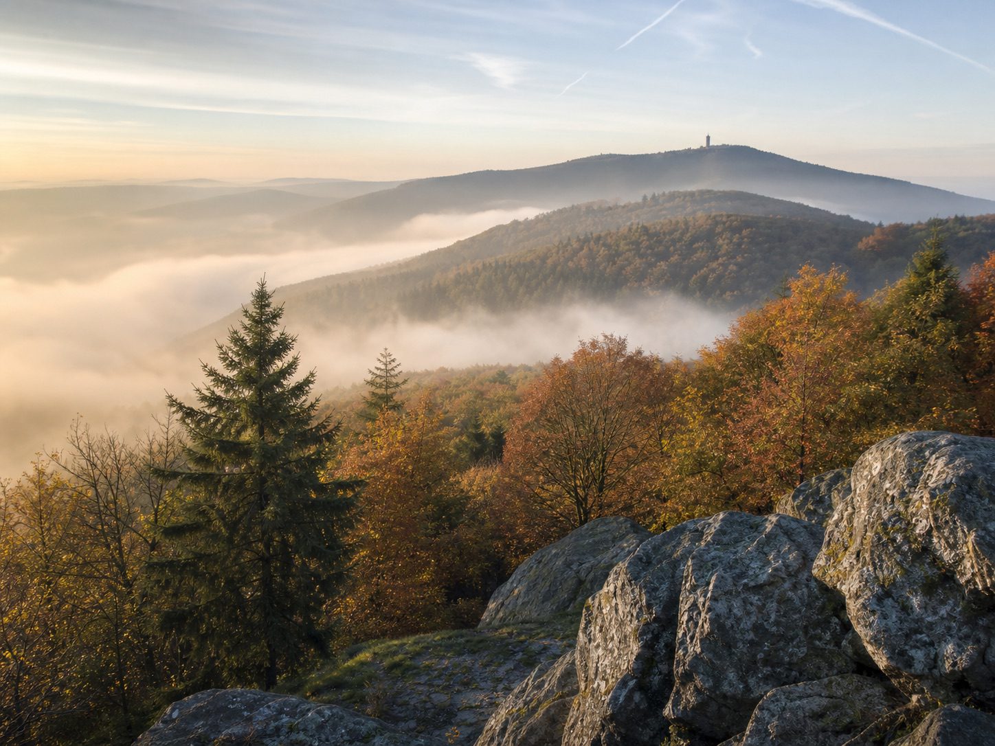 Atmosphärisches Symbolbild bewaldeter Taunushöhen im Morgennebel
